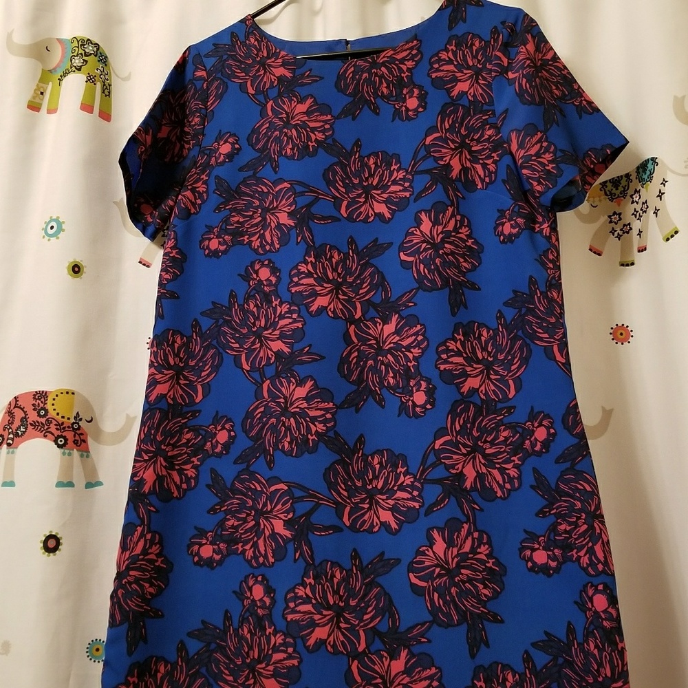 J. Crew Dress